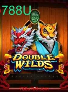 DoubleWilds: Um Mergulho Emocionante no Mundo dos Jogos com a Chave 788U